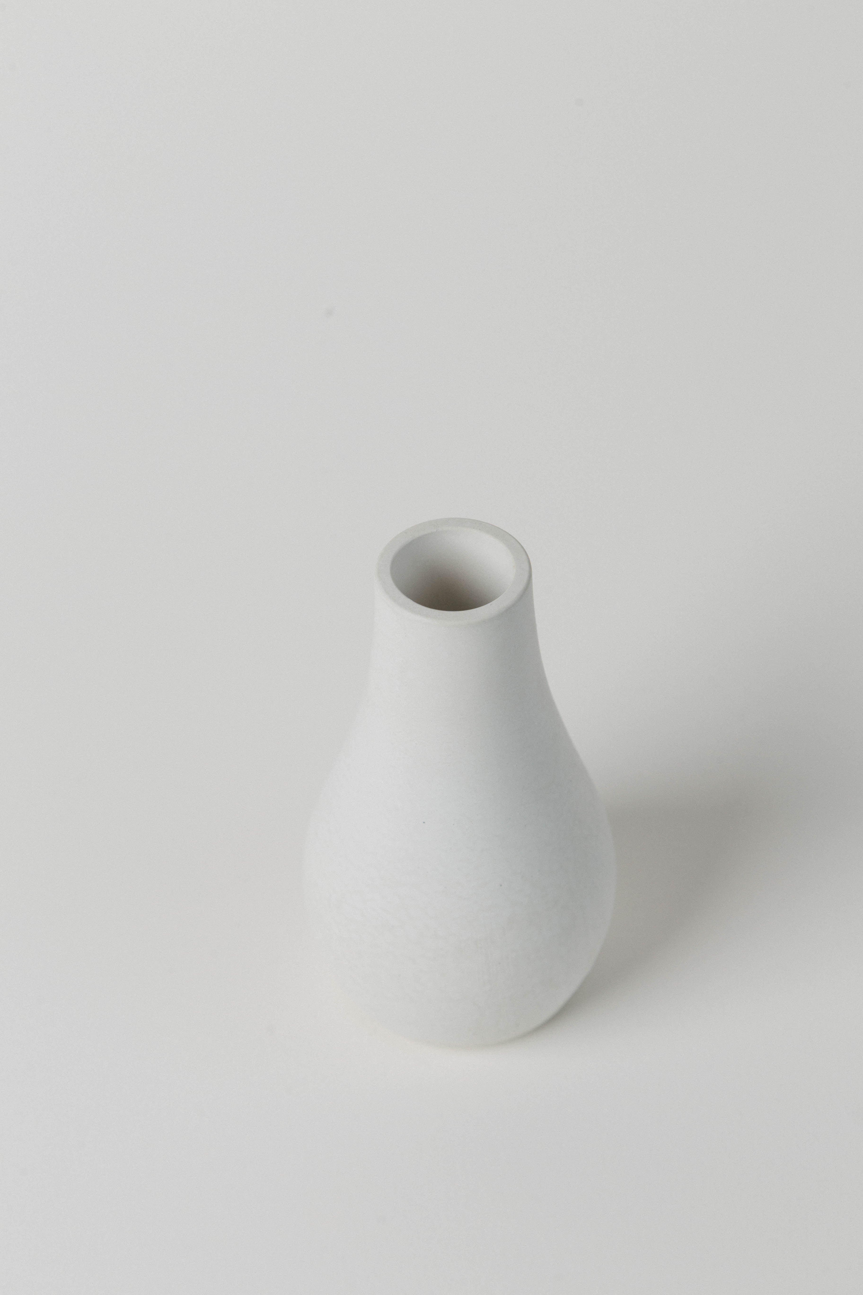 OSHADHI [El reino de las plantas curativas]