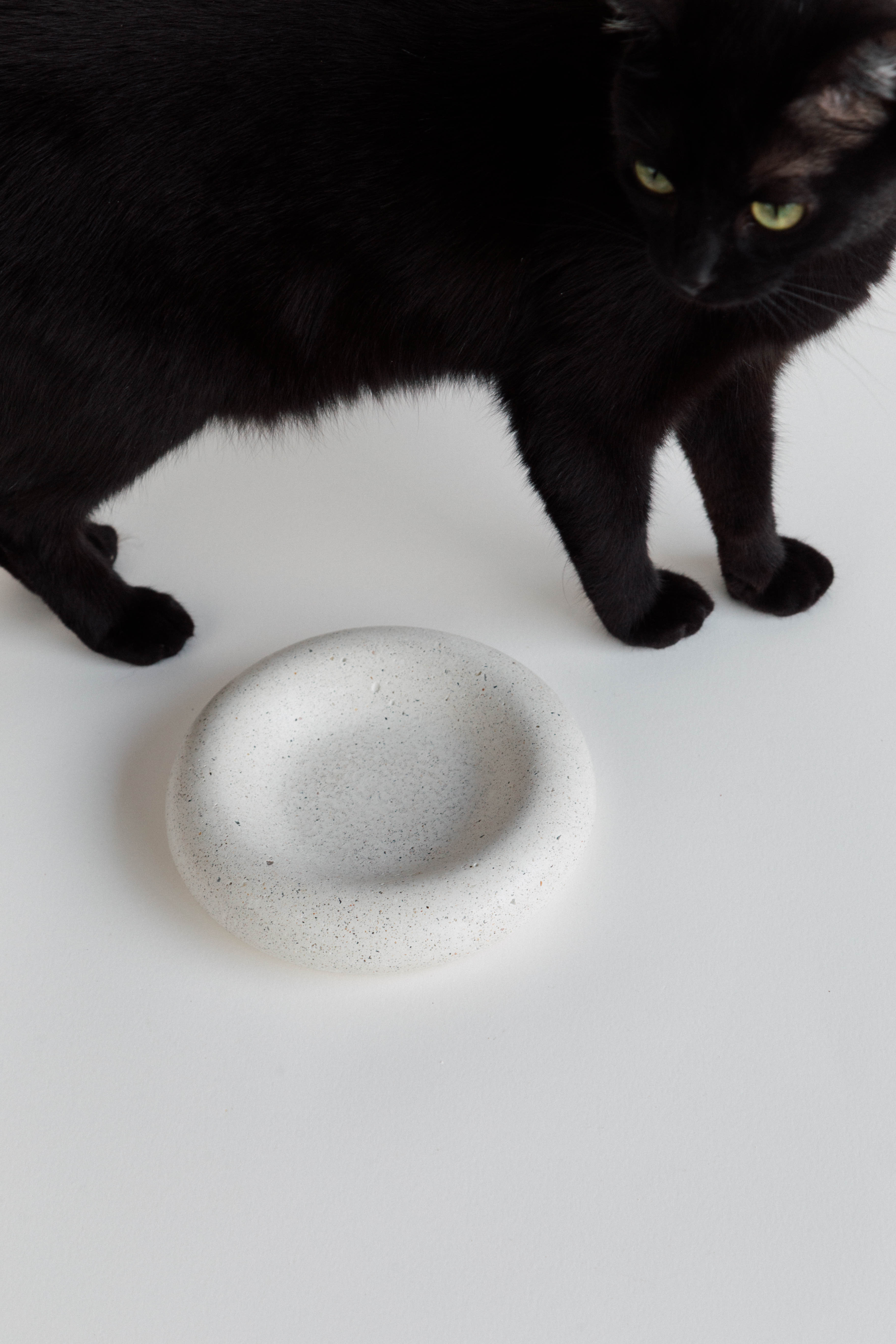 SADHANA [Purificación]