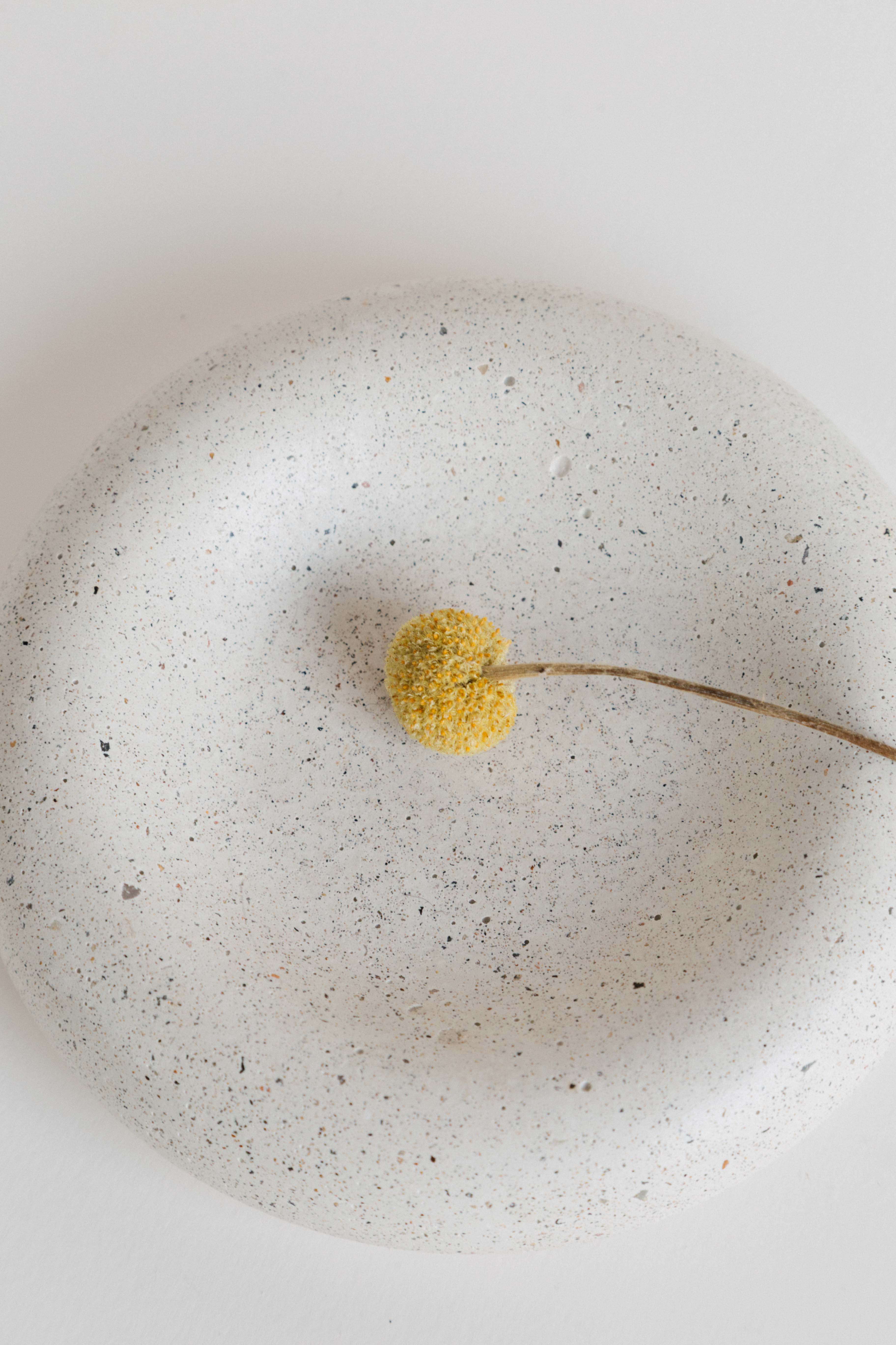 SADHANA [Purificación]