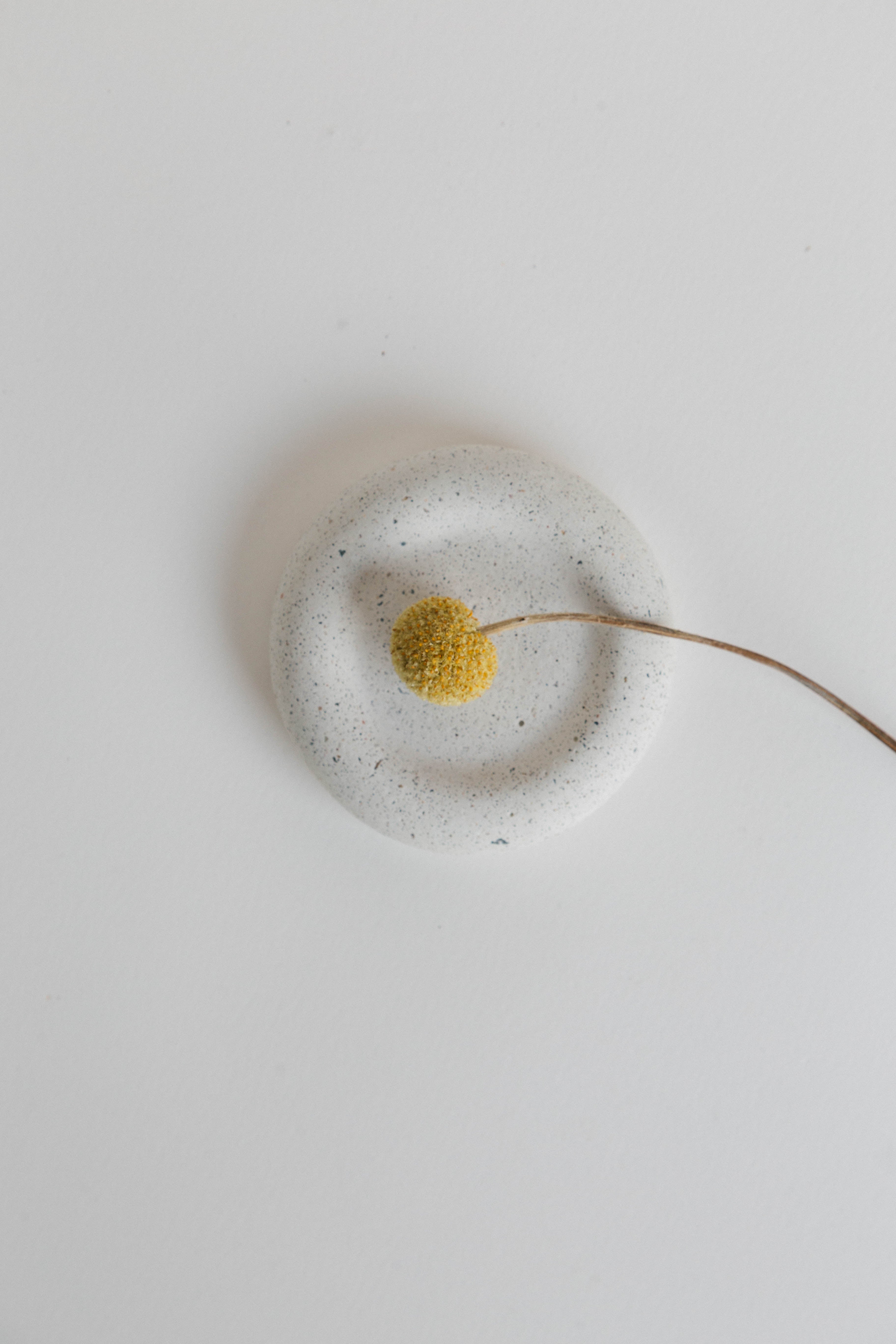 SADHANA [Purificación]